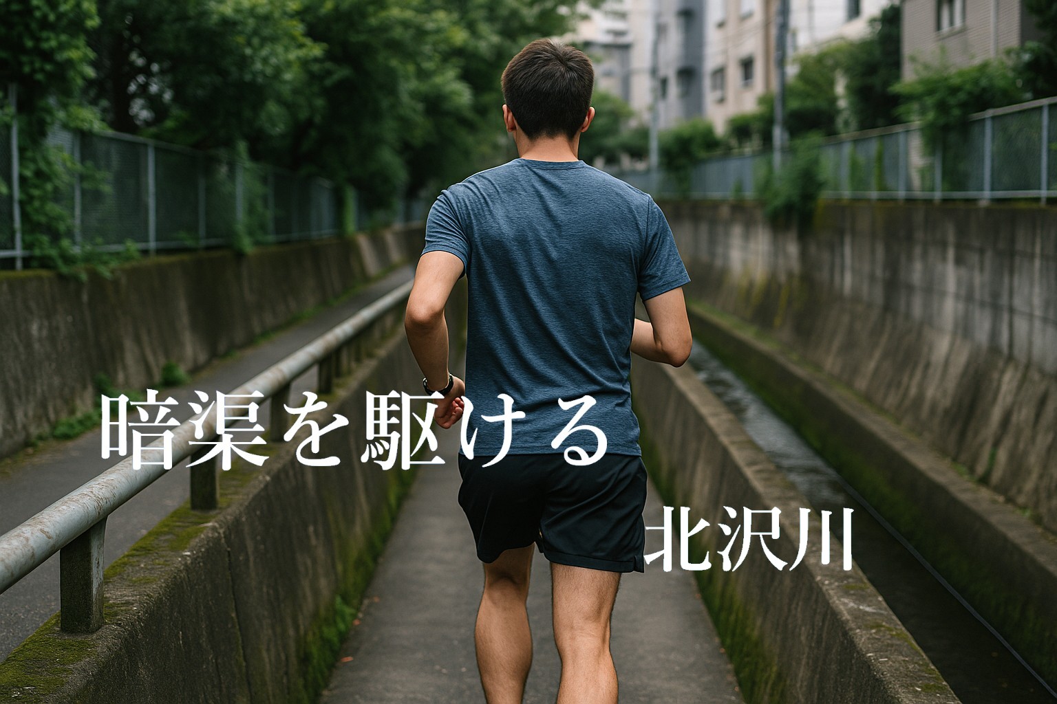 暗渠を駆ける　北沢川